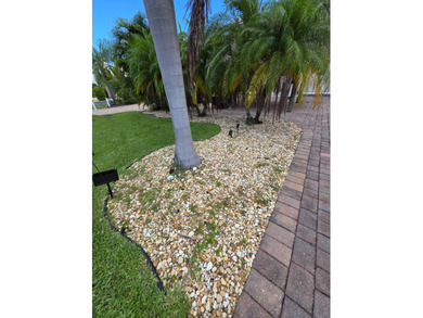 SILVER PALMS 5-STAR RESORT - Stunning oversized lot with - photo 5