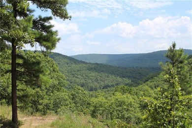 Multiple residences for over 10,000 square foot total Rare 400 - photo 6
