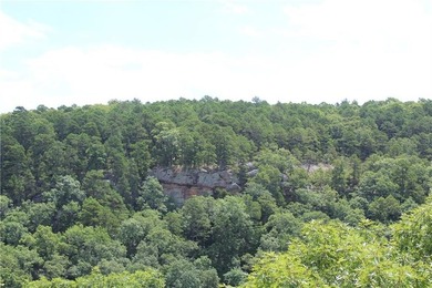 Multiple residences for over 10,000 square foot total Rare 400 - photo 7