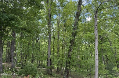 Discover this lovely Natural Gas wooded lot offering seasonal - photo 1