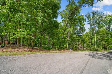 Discover this lovely Natural Gas wooded lot offering seasonal - photo 3