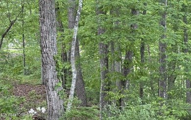 Discover this lovely Natural Gas wooded lot offering seasonal - photo 4