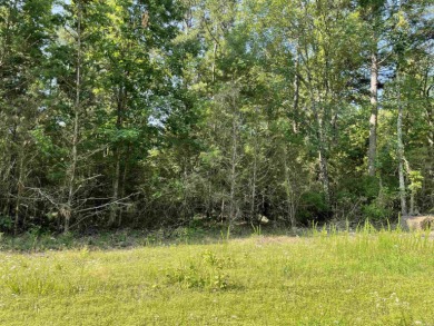 Nice flat lot. There is a utility easement on the back side of - photo 2
