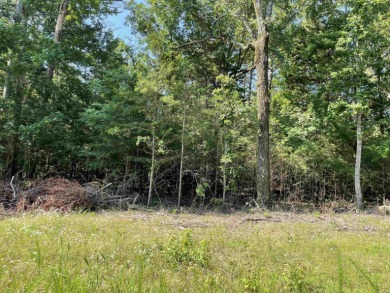 Nice flat lot. There is a utility easement on the back side of - photo 3