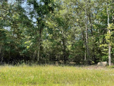 Nice flat lot. There is a utility easement on the back side of - photo 4