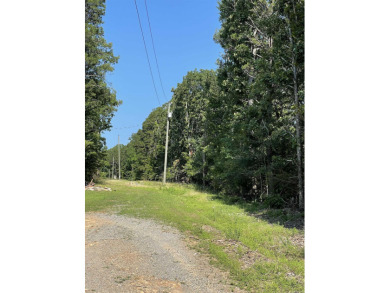 Nice flat lot. There is a utility easement on the back side of - photo 5