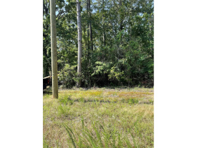 Nice flat lot. There is a utility easement on the back side of - photo 6