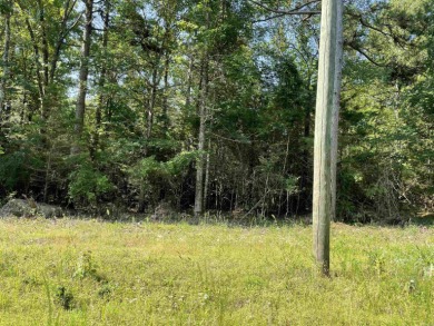 Nice flat lot. There is a utility easement on the back side of - photo 7