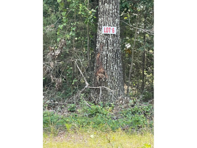 Greers Ferry Lake Lot For Sale in Greers Ferry Arkansas