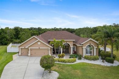 Lake Home For Sale in Wesley Chapel, Florida