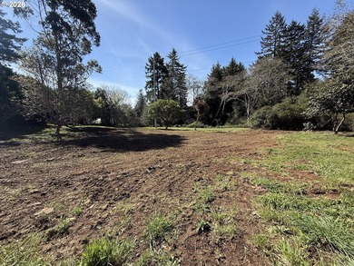 LEVEL HALF-ACRE NEAR HARRIS BEACH - BUILD-READY WITH ROOM TO - photo 11