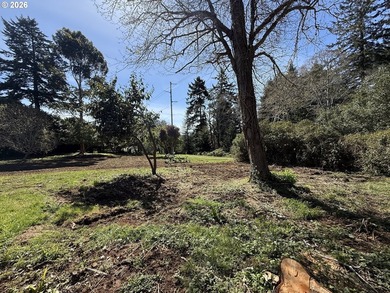 LEVEL HALF-ACRE NEAR HARRIS BEACH - BUILD-READY WITH ROOM TO - photo 15