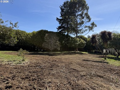 LEVEL HALF-ACRE NEAR HARRIS BEACH - BUILD-READY WITH ROOM TO - photo 16