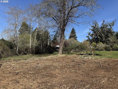LEVEL HALF-ACRE NEAR HARRIS BEACH - BUILD-READY WITH ROOM TO - photo 17
