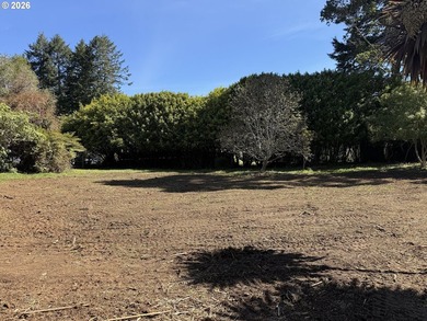 LEVEL HALF-ACRE NEAR HARRIS BEACH - BUILD-READY WITH ROOM TO - photo 19