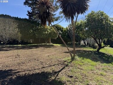 LEVEL HALF-ACRE NEAR HARRIS BEACH - BUILD-READY WITH ROOM TO - photo 20
