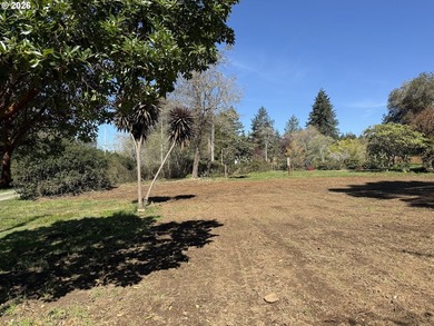 LEVEL HALF-ACRE NEAR HARRIS BEACH - BUILD-READY WITH ROOM TO - photo 22