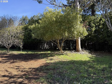LEVEL HALF-ACRE NEAR HARRIS BEACH - BUILD-READY WITH ROOM TO - photo 23
