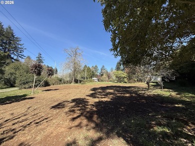 LEVEL HALF-ACRE NEAR HARRIS BEACH - BUILD-READY WITH ROOM TO - photo 26