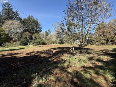 LEVEL HALF-ACRE NEAR HARRIS BEACH - BUILD-READY WITH ROOM TO - photo 27