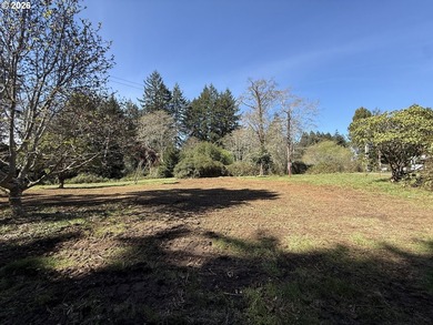 LEVEL HALF-ACRE NEAR HARRIS BEACH - BUILD-READY WITH ROOM TO - photo 28