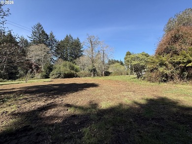 LEVEL HALF-ACRE NEAR HARRIS BEACH - BUILD-READY WITH ROOM TO - photo 29