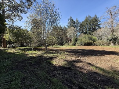 LEVEL HALF-ACRE NEAR HARRIS BEACH - BUILD-READY WITH ROOM TO - photo 30