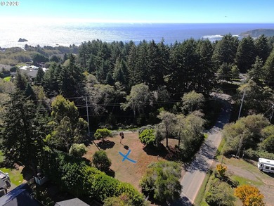 LEVEL HALF-ACRE NEAR HARRIS BEACH - BUILD-READY WITH ROOM TO - photo 32