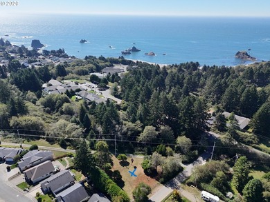LEVEL HALF-ACRE NEAR HARRIS BEACH - BUILD-READY WITH ROOM TO - photo 33
