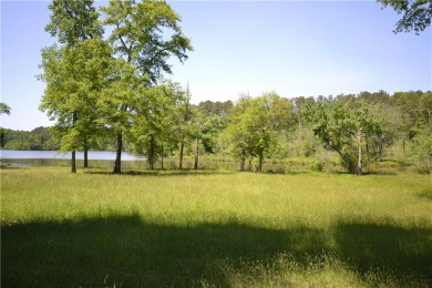 Lake Olympia Acreage For Sale in Buchanan Georgia