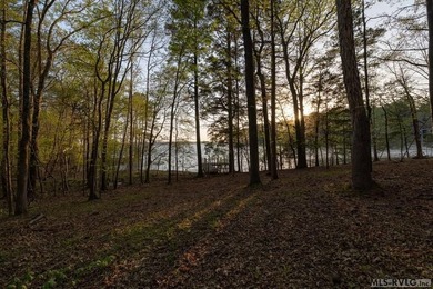 Welcome to what I have dubbed *The Meadows at Old Ferry*-an - photo 9