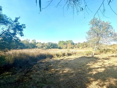Want to be one lot from the Beach? These three lots are waiting - photo 11