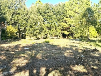 Want to be one lot from the Beach? These three lots are waiting - photo 14