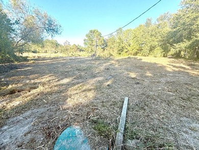 Want to be one lot from the Beach? These three lots are waiting - photo 15