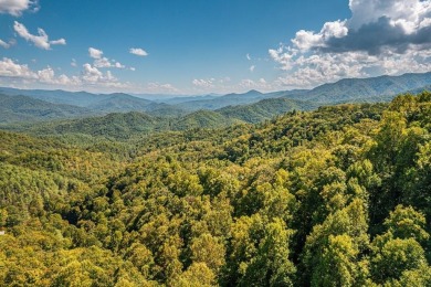 Lake Home For Sale in Bryson City, North Carolina