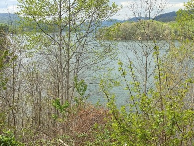 Watauga Lake Lot For Sale in Butler Tennessee