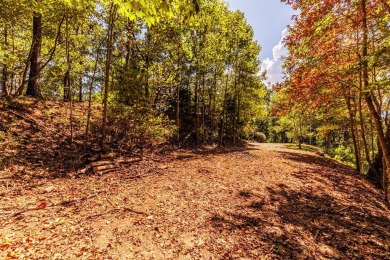 Lake Lot For Sale in Bryson City, North Carolina