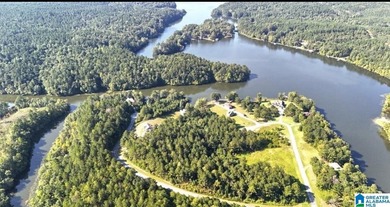Welcome to Waterford at Lay Lake in Coosa County - a gated - photo 3