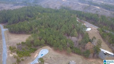 Welcome to Waterford at Lay Lake in Coosa County - a gated - photo 4