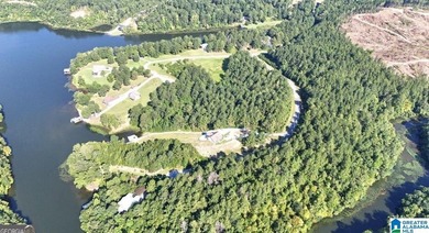 Welcome to Waterford at Lay Lake in Coosa County - a gated - photo 5