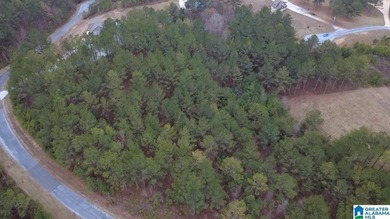 Welcome to Waterford at Lay Lake in Coosa County - a gated - photo 6