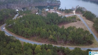 Welcome to Waterford at Lay Lake in Coosa County - a gated - photo 7