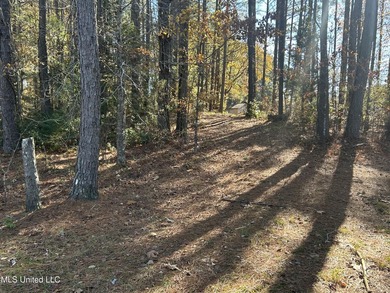 Build your dream home on this 2+/- acre residential lot located - photo 12