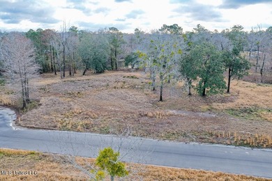 Welcome to River Pointe Estates on the Biloxi River! Lot 6 - photo 4