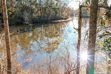 Welcome to River Pointe Estates on the Biloxi River! Lot 6 - photo 5