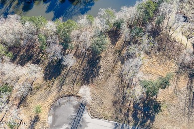 Welcome to River Pointe Estates on the Biloxi River! Lot 6 - photo 7
