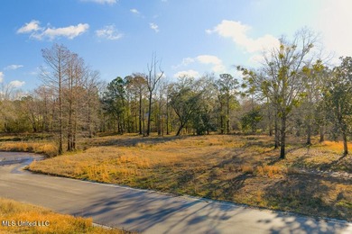 Welcome to River Pointe Estates on the Biloxi River! Lot 6 - photo 9