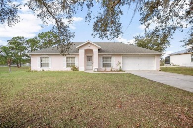 (private lake, pond, creek) Home For Sale in Deltona Florida