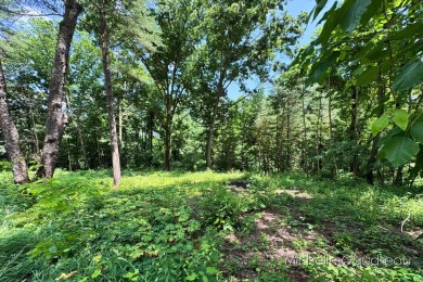 (private lake, pond, creek) Lot For Sale in Hastings Michigan