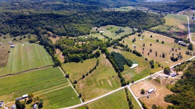 Lake Commercial For Sale in Quaker City, Ohio